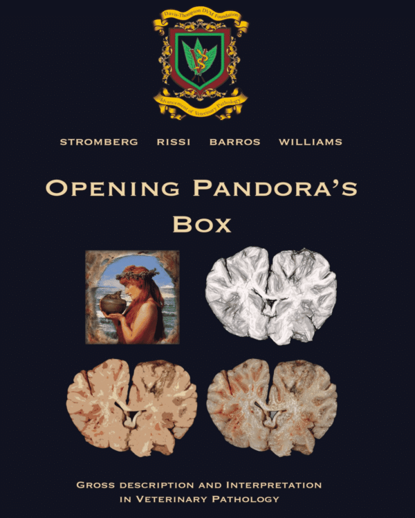 Pandora's Box - Digital Download